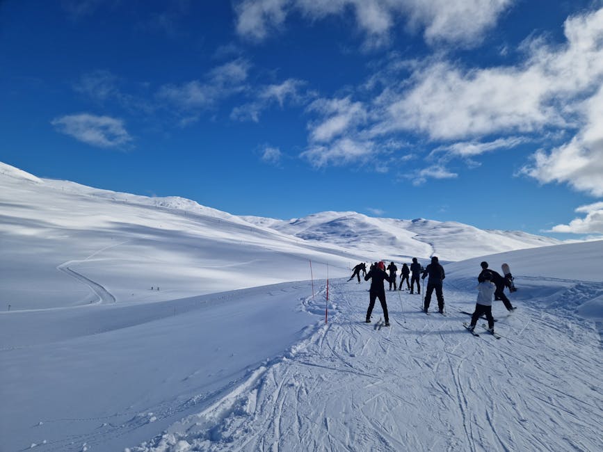 Ungdomar i grupp under organiserad aktivitet